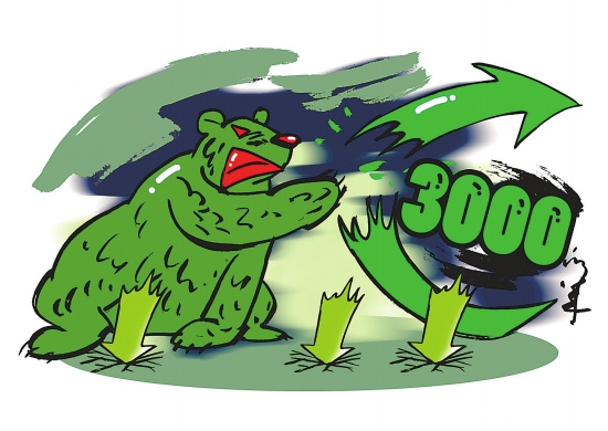TDIµ3000Ԫ/