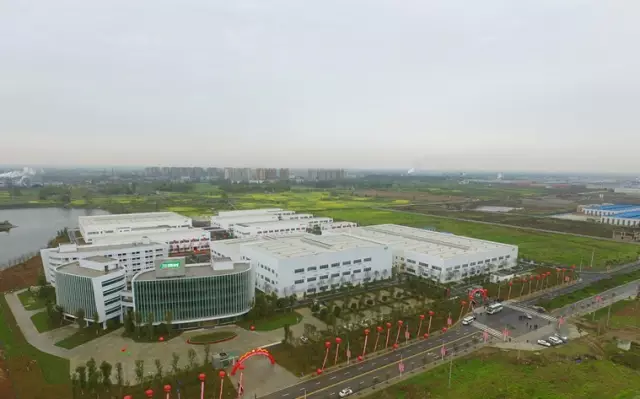 三棵树再投3亿元四川邛崃产业园 正在下“一盘大棋”