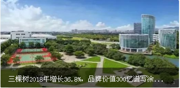 201836.8%ƷƼֵ300дͿװʱ