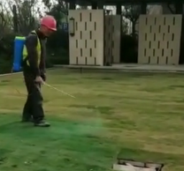 一波操作猛如虎,喷染色剂让草坪起死回生应对交房