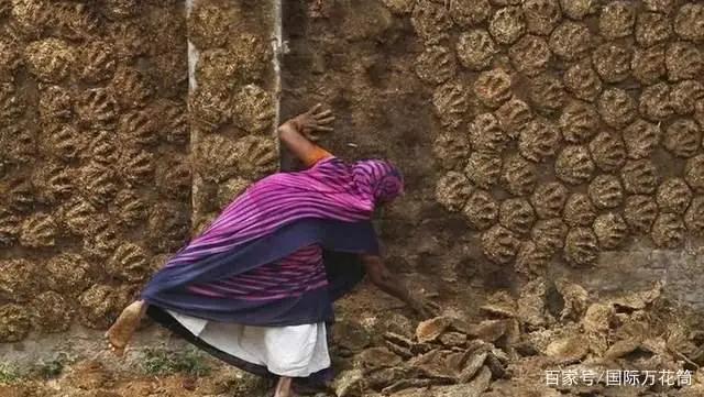 ӡƳȫ׿ţͿϣˢܿ桢ů