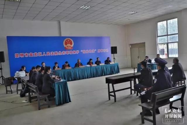 向一级保护区内倾倒100余桶废涂料!昆明这两人被判刑