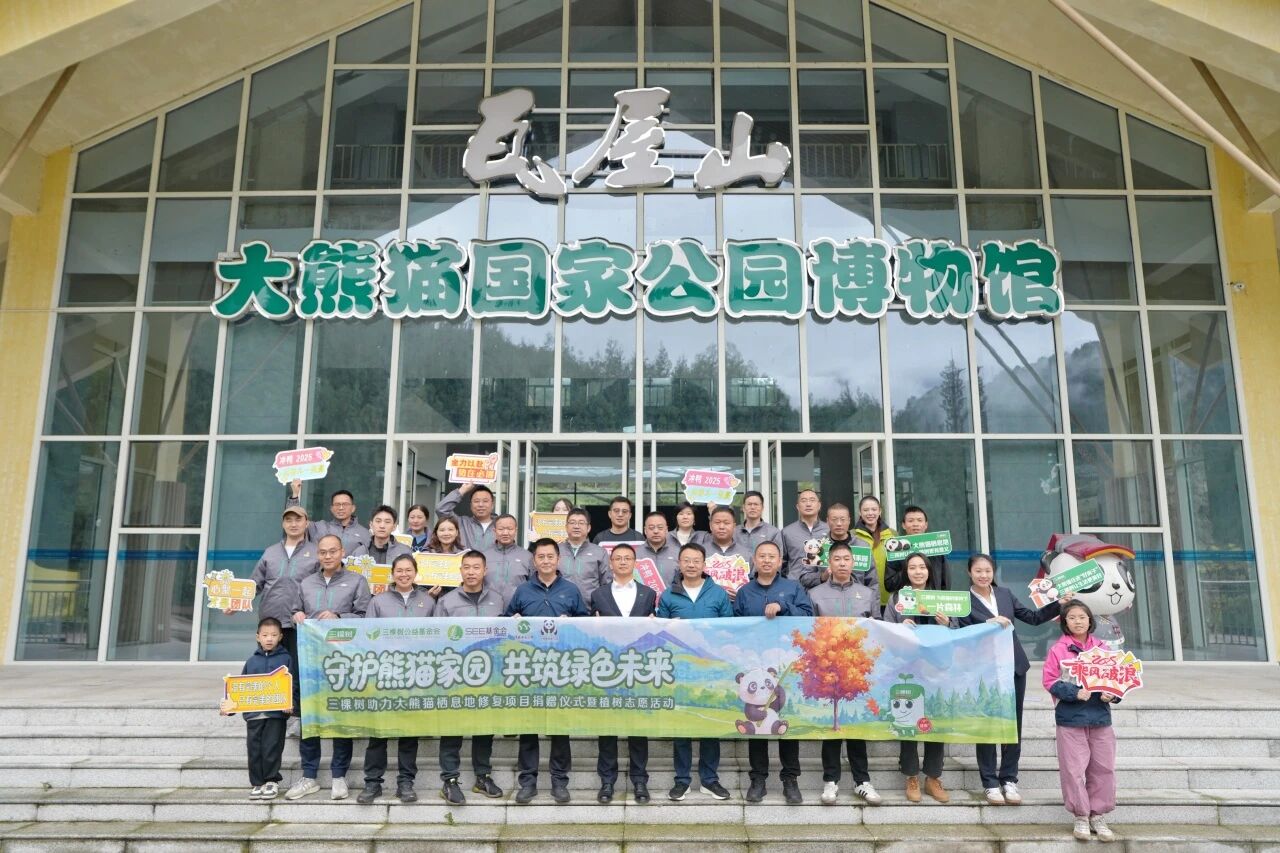 守护熊猫家园,共筑绿色未来丨三棵树助力大熊猫栖息地修复