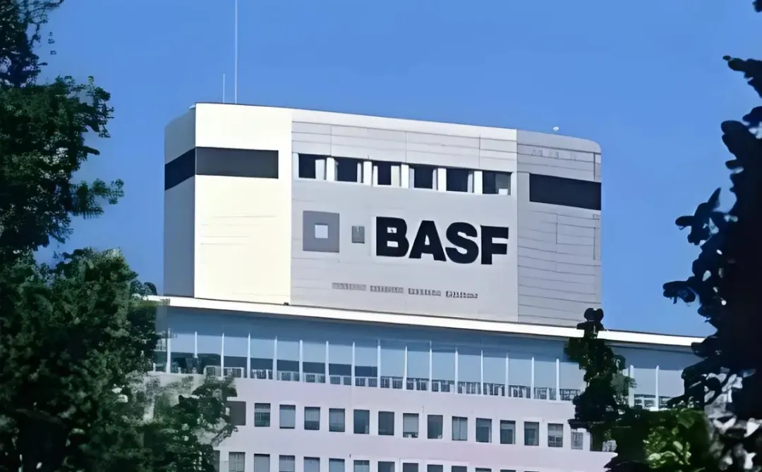巴斯夫核心业务,大涨179%!