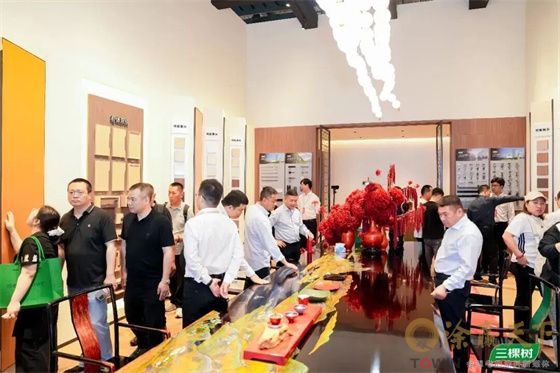 1774701475484882.jpg mtxx02.jpg