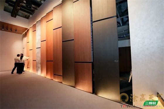 1774701534132623.jpg mtxx07.jpg