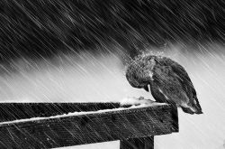 �����´�ҵ�ߵ��������ߴδ�ҵʧ���� 